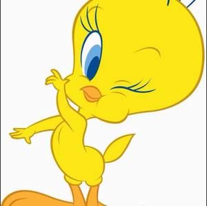 Meet your Posher, Wilma